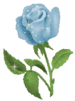 Blume 