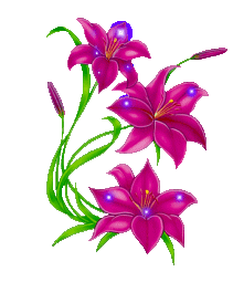 Blume