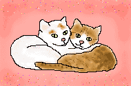 Katzen